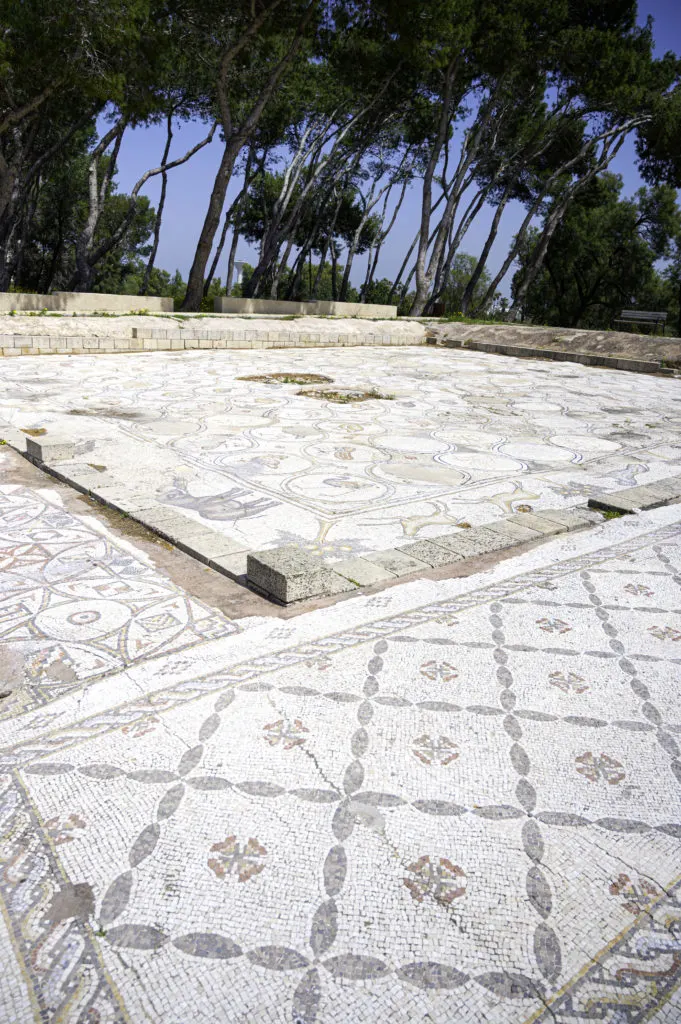 Birds Mosaic Caesarea 